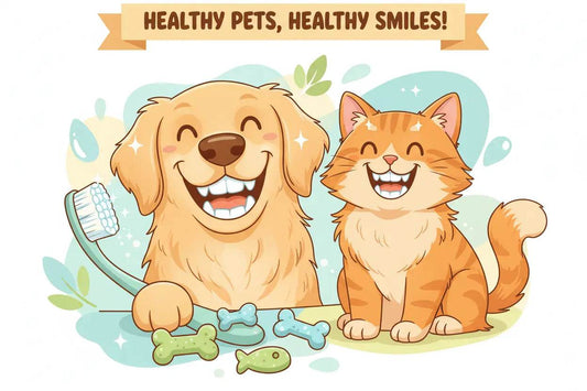 The Importance of Dental Care for Pets: Preventing Disease and Ensuring Lifelong Health Vibrant Tails