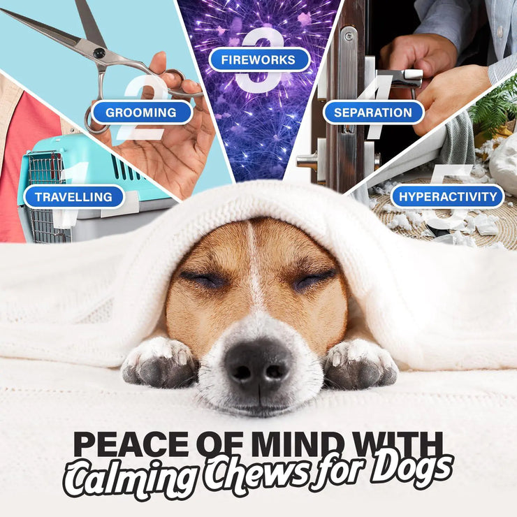 Calming Soft Chews for Dog Anxiety Relief with Chamomile and Valerian, 90ct