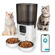 Pet feeder with two cats and a smartphone app on a white background