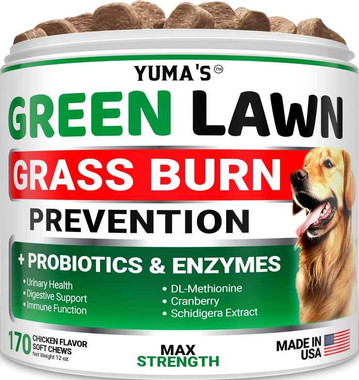 Green Lawn Chews for Dogs – Probiotics & Digestive Enzyme Support, 90 Chews