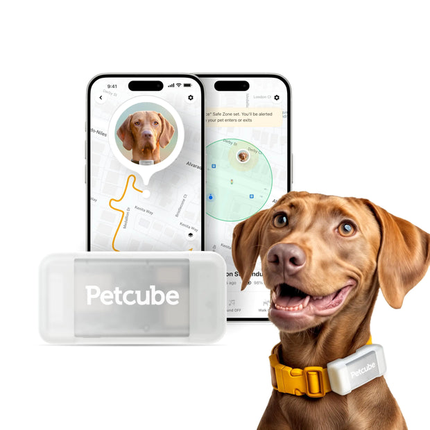 Petcube GPS Dog Tracker with Live Location and Virtual Fence Alerts